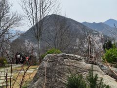 -幽岚山·童话森林