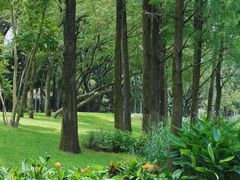 -人民公园(罗湖区)