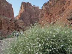 -天山神秘大峡谷
