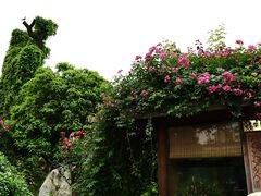 -天怡·鱼工厂(临江店)