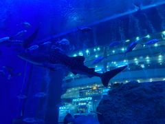 -成都浩海立方海洋公园