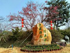 -天适樱花悠乐园