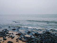 -漳州滨海火山岛自然生态风景区