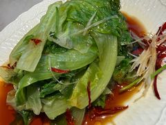 -船歌·鱼水饺青岛菜(太阳宫凯德MALL店)