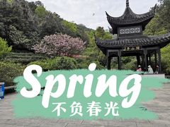 -九龙潭景区