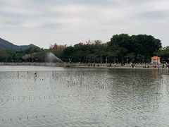 -顺峰山公园