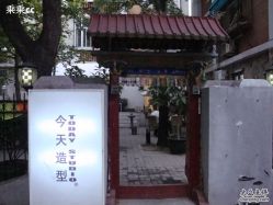 today1-大象造型