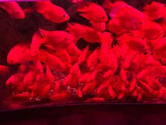 -左海海底世界