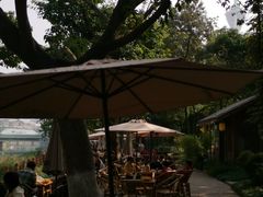 -成都市活水公园