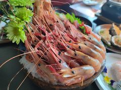 -花潮料理艺食馆(成都万象城店)