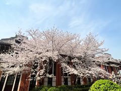 -上海交通大学医学院附属瑞金医院(总院)
