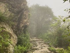 -北京鹫峰国家森林公园