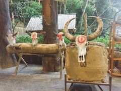 -海南槟榔谷黎苗文化旅游区