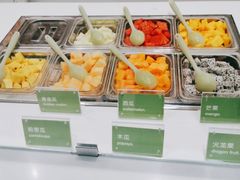 -Salud撒露欧洲冻酸奶(五道口购物中心店)