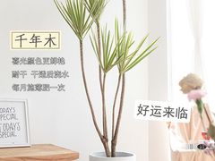 -李村大集