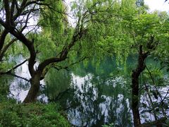 -贵阳市花溪国家城市湿地公园