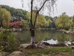-新洲生态园