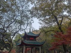-岳麓山风景名胜区