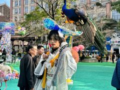 -灵玲国际马戏城