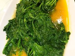 鸡油茼蒿-广信传说
