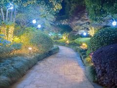 -绿城千岛湖喜来登度假酒店