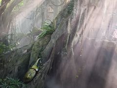 -青青世界