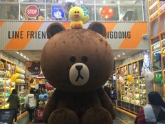 -line friends(明洞旗舰店)