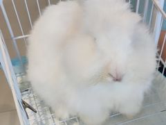 -怪兽屋·羊驼·猫咖·狗咖(俊华广场店)