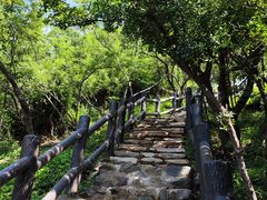 -北京西山国家森林公园