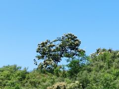 -蟠龙山长城景区