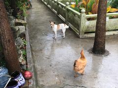 -龚家花园农家乐休闲别墅