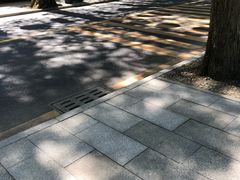 -井冈山风景名胜区