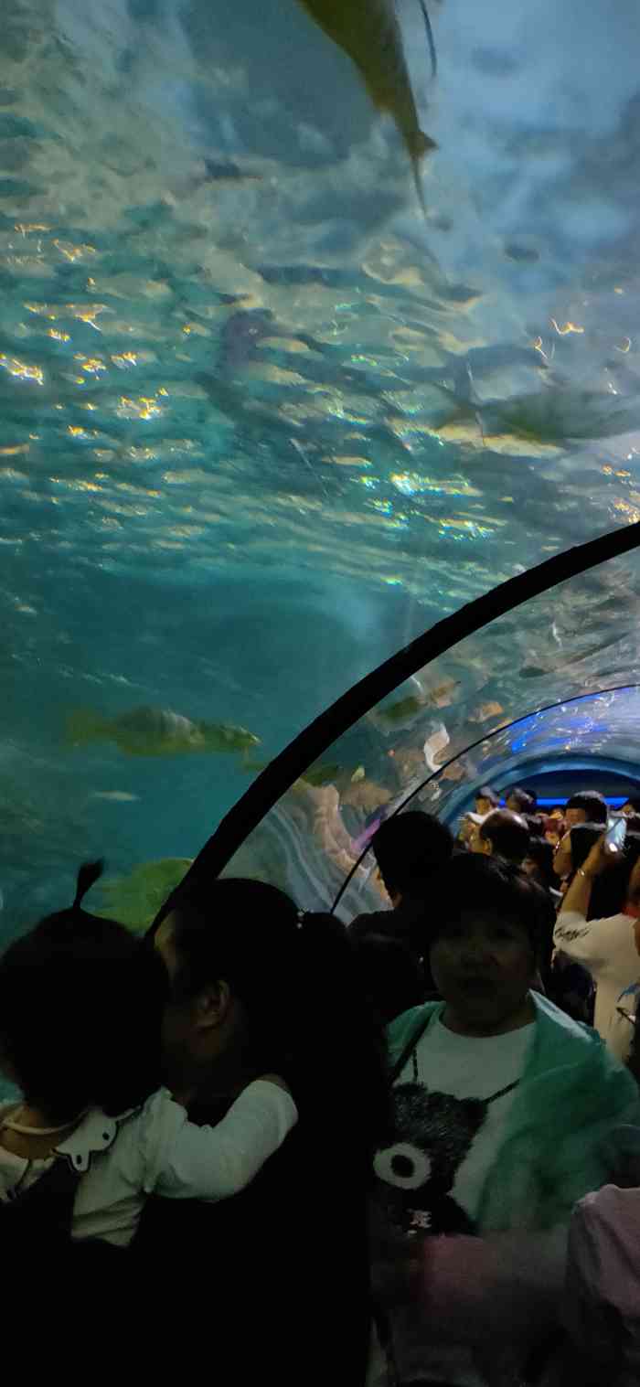 太平洋海底世界餐厅