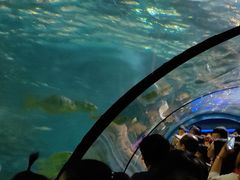 -太平洋海底世界餐厅