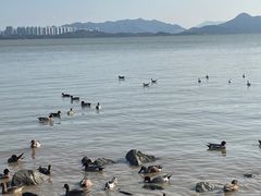 -深圳湾公园(南山区)