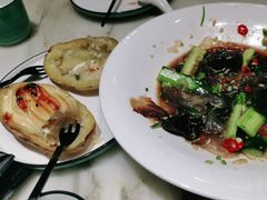 -天天鱼港·海鲜·鲅鱼水饺·招牌烤鸭(黄骅店)