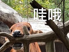 -长鹿旅游休博园
