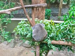 -可伦宾野生动物保护区