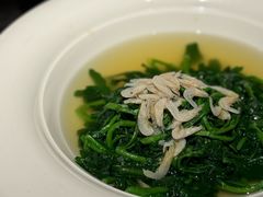 -三利音·浦之舟(滨江大道店)