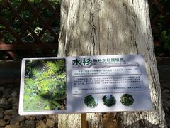-北戴河集发农业梦想王国