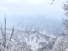 -抱龙峪