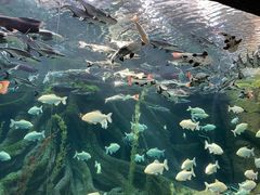 -哈尔滨波塞冬海底世界