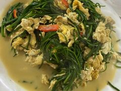 沙葱炒鸡蛋-煲来饱去冷水鱼