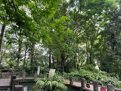 -成都市活水公园