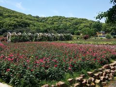 -龙寺生态园