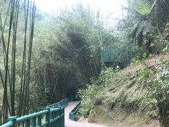 -四洞沟景区