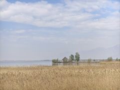 -哈素海