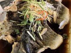 -京北渔家傲