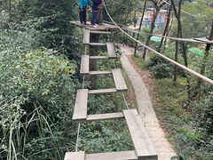 -芦仙山景区-飞越丛林探险乐园