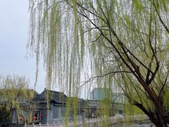 -迎春桥老炉烧饼(碧霞路店)